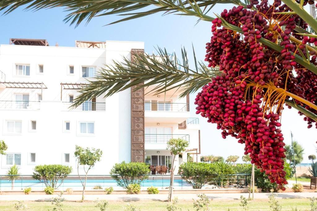 Private Beach Resort Cyprus Vokolidha Kültér fotó